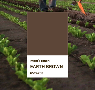 mom’s TOUCH EARTH BROWN #5C4738